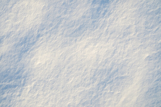 Snow field in daylight. Winter surface with snow pattern. Icy frozen background with white snow texture. Clean minimal backdrop with snow pattern. Frozen surface. - Powered by Adobe