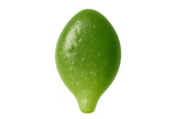 Fresh green lime raw fruit with water drops, a healthy ingredient offering a tangy citrus diet and beverage flavor
