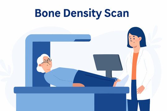 Flat vector of bone density scan procedure with elderly patient and technician