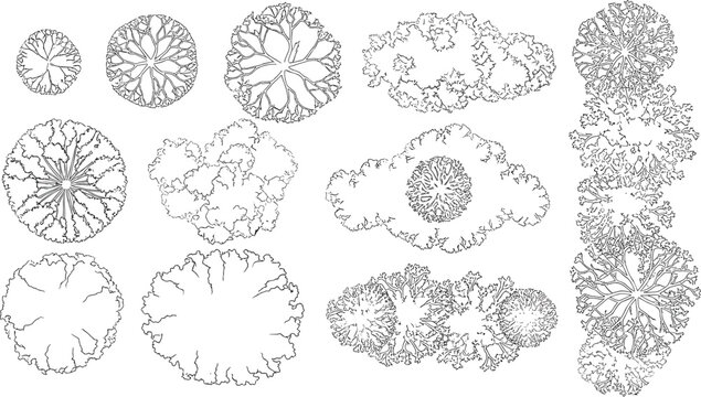 A collection of tree top view symbols for architectural and landscape design plans. Black and white line drawing illustrations for mapping and site plans