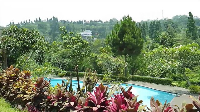 swimming pool in the green forest background