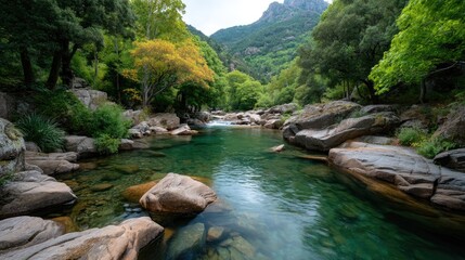 Clear Turquoise River Flowing Through a Rocky Gorge Surrounded by Lush Green Forest and Verdant Trees Under a Bright Sunny Sky