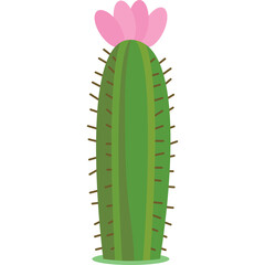 Tall green cactus with pink flower on top and brown thorns isolated on white background with green grass at the bottom
