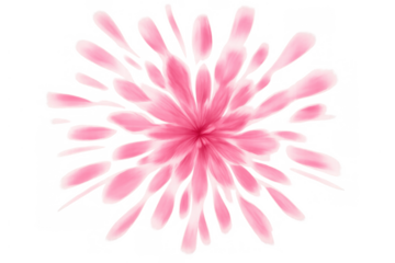 Pink flower petals bursting radially, symbolizing vitality, growth, and love, with transparent background