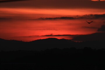 In the morning the sun is rising.
