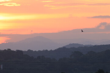 In the morning the sun is rising.
