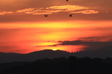 In the morning the sun is rising.