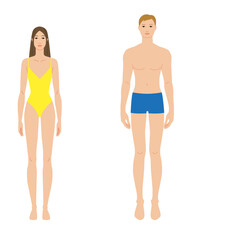 Male and female body template front view, Medium beige skin tone diversity man, woman. Flat vector anatomy model for fashion design, tailoring, garment fitting, proportions, measurement, art