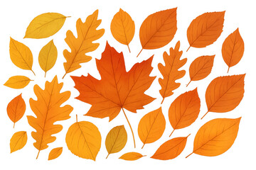 Obraz premium Autumn leaves falling, collection of colorful maple and oak foliage, seasonal design element with transparent background