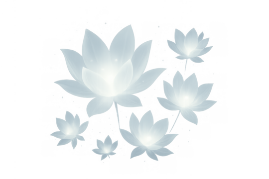 Lotus flowers radiating soft light, showing spiritual purity, tranquility, and wellness concepts, on a transparent background