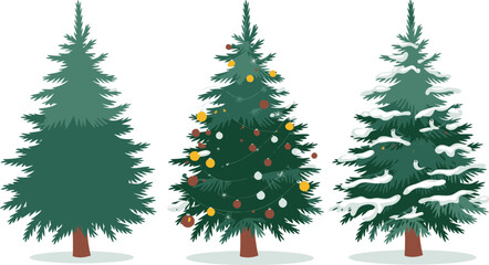 Three Christmas trees one bare one decorated one snow covered