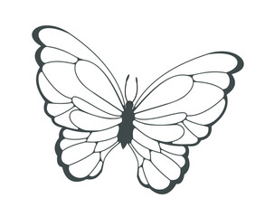 Black and white butterfly with outlined wings shown in simple graphic style on a white background. Concept of nature, elegance, and transformation. Vector illustration