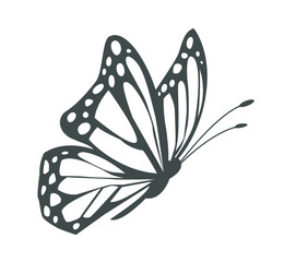 Silhouette of a monarch butterfly with detailed wings shown in a minimal black and white graphic style on a white background. Concept of freedom and nature. Vector illustration