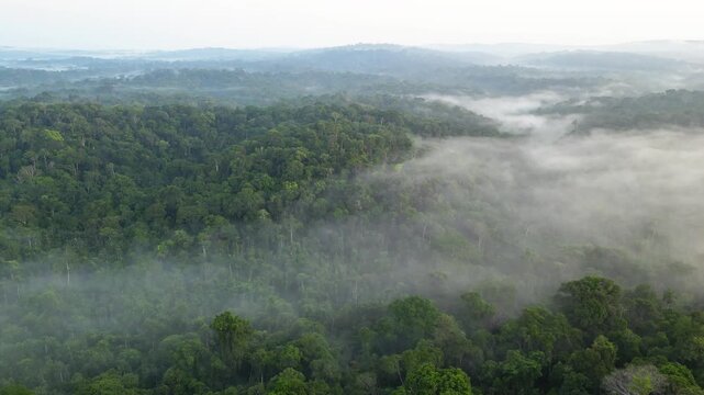 The Amazon's breath. Aerial view showing a thick fog of humidity generated by the brazilian Amazon rainforest, a natural phenomenon that is caused by the high humidity and heat of the rainforest.