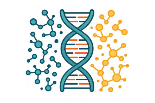 Dna double helix structure with molecular connections, representing genetics, science and medical research