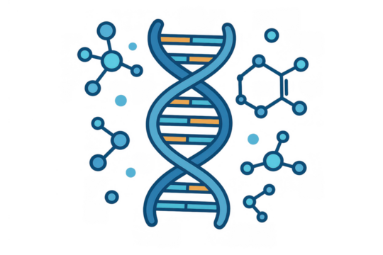 Dna double helix structure with molecular connections representing genetic research, science, and biology on transparent background