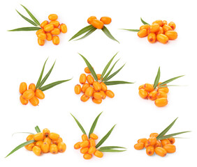 Sea buckthorn berries and green leaves isolated on white, set