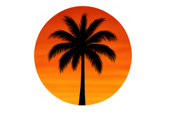 Palm tree silhouette against vibrant sunset, illustrating tropical travel destination and summer vacation dreams
