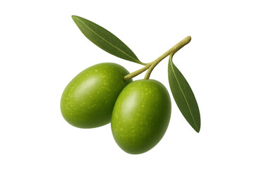Obraz premium Green olives on branch, fresh fruits for healthy food, mediterranean diet ingredient, transparent background