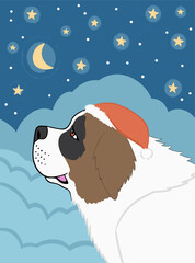 Whimsical St. Bernard Dog Illustration Under a Starry Night Sky