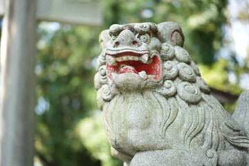 Fototapete bei efototapeten.de bestellen   