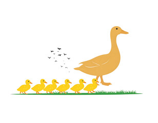 A cartoon mother duck walks with six ducklings trailing, over some green grass, all on a black background