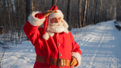 Santa Claus walks through the winter forest. 