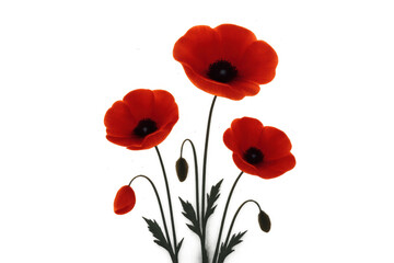 Red poppy flowers with buds and green leaves on transparent background symbolizing remembrance and peace