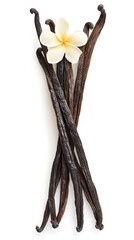 Vanilla Beans Bunch with Frangipani Flower on a White Background, Culinary Delight