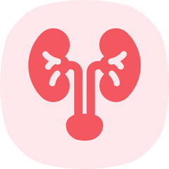 Kidney