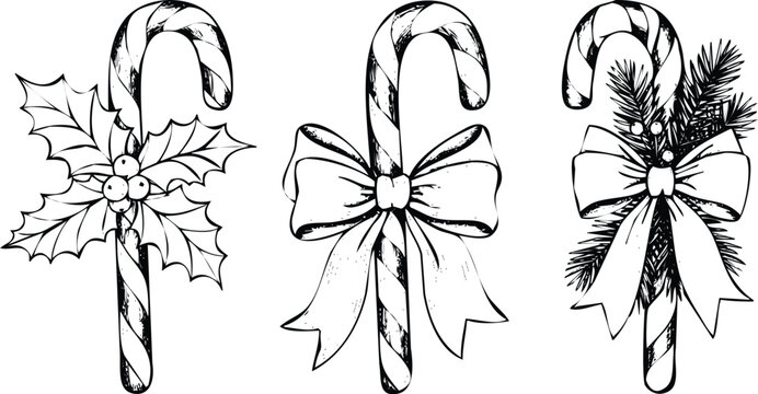 Christmas candy cane decoration with holly and bow isolated on white engraving art design