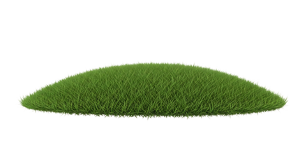 Lush green grassy mound with fine white tips on a dark background isolated on a transparent background