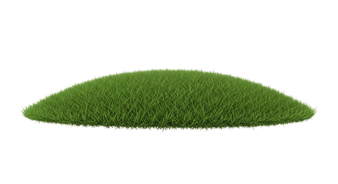 Lush green grassy mound with fine white tips on a dark background isolated on a transparent background