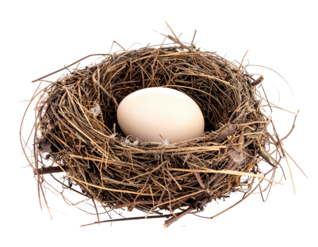 Bird's nest. A lone, round, white egg rests in a nest woven from twigs and dry grass, set against black backdrop