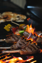 Grilling Kebabs