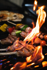Grilling Kebabs with a Flame