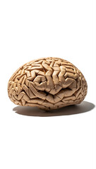 Obraz premium Detailed View of a Human Brain Model Demonstrating Complex Neural Networks and Cognitive Functions