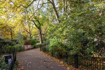 Duncan terrace gardens in Islington, London, UK.  Shot on 25 October