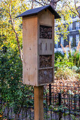 Duncan terrace gardens in Islington, London, UK.  Shot on 25 October
