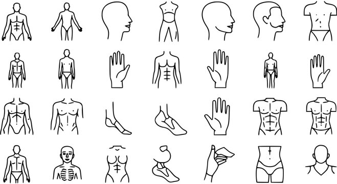 Human body parts and anatomy line icon set. Vector symbols of male and female figures, torso, head, hand, and foot for medical, health, and fitness concepts.