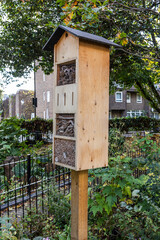 Duncan terrace gardens in Islington, London, UK.  Shot on 25 October