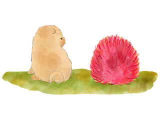 子犬とコキア　かわいい　絵本風　イラスト