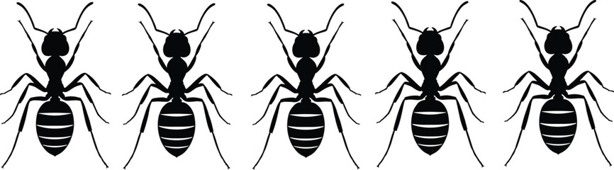 Black ant silhouettes vector illustration, insect pattern background, minimal wildlife design for entomology, pest control, education, and ecological science graphic projects