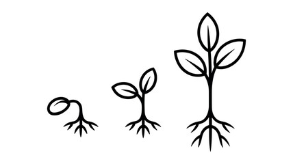 Three black line drawing stages of plant growth from seed to seedling sprout germination