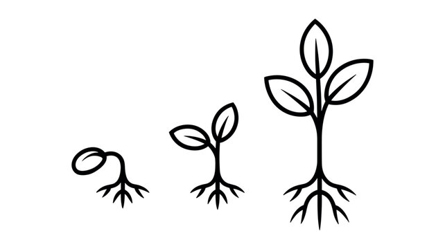 Three black line drawing stages of plant growth from seed to seedling sprout germination