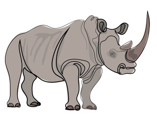 Rhino in continuous line drawing style