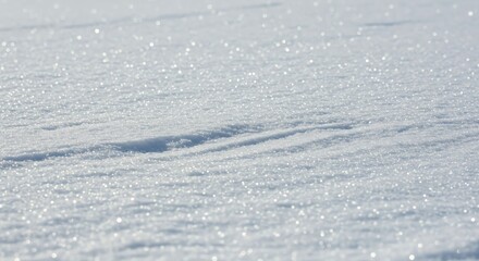 Obraz premium snow on the window
