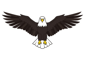 Majestic bald eagle soaring with outstretched wings against a white backdrop.