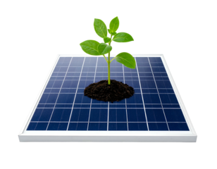 Sprout grows from earth on solar panel, against black. Nature and energy blend