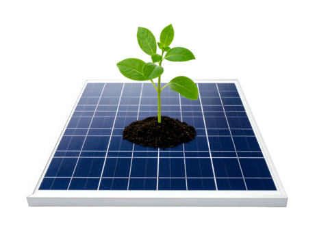 Sprout grows from earth on solar panel, against black. Nature and energy blend